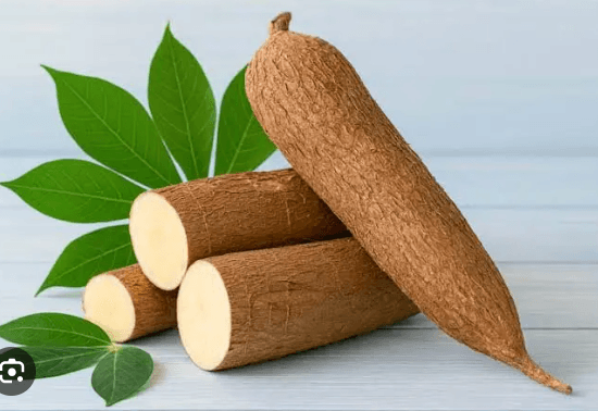 Organic Cassava