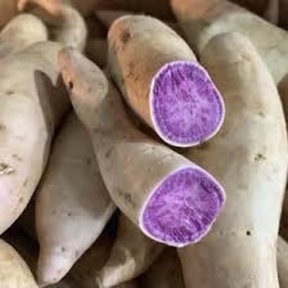 Hawaiian Purple sweet Potatoe